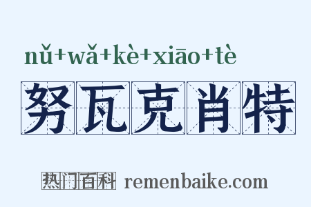 努瓦克肖特是什么意思的图片